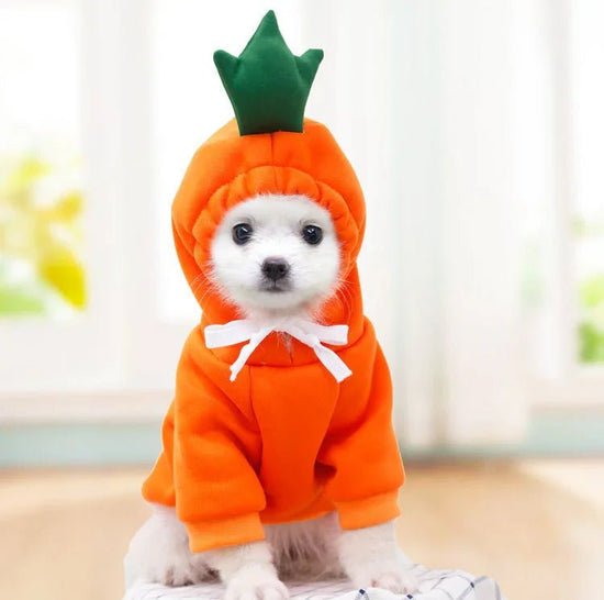 FruitPup Hoodie