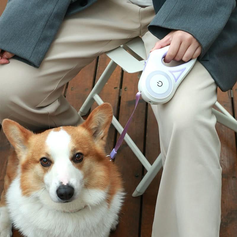 Dog Grooming Nail Grinder Being Used on Puppy