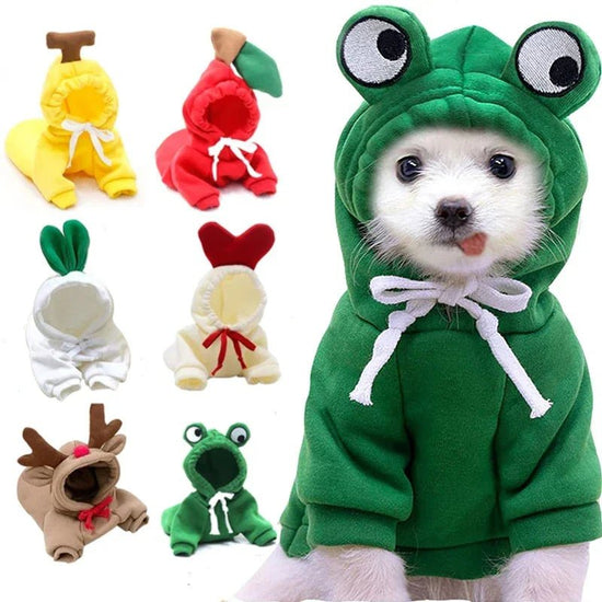FruitPup Hoodie