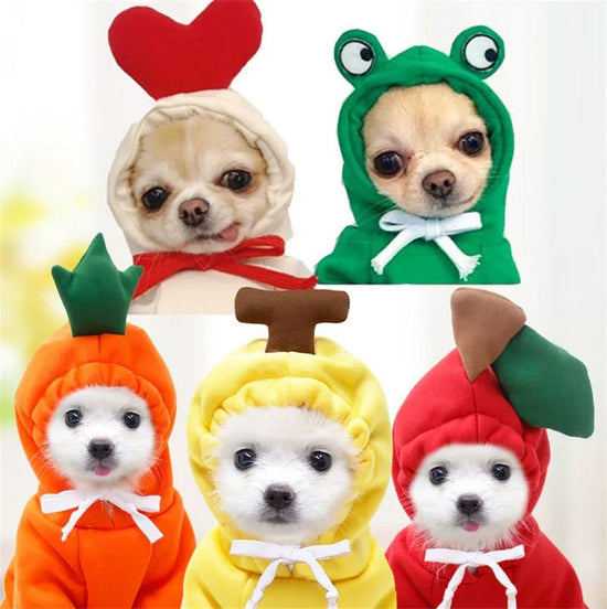 FruitPup Hoodie