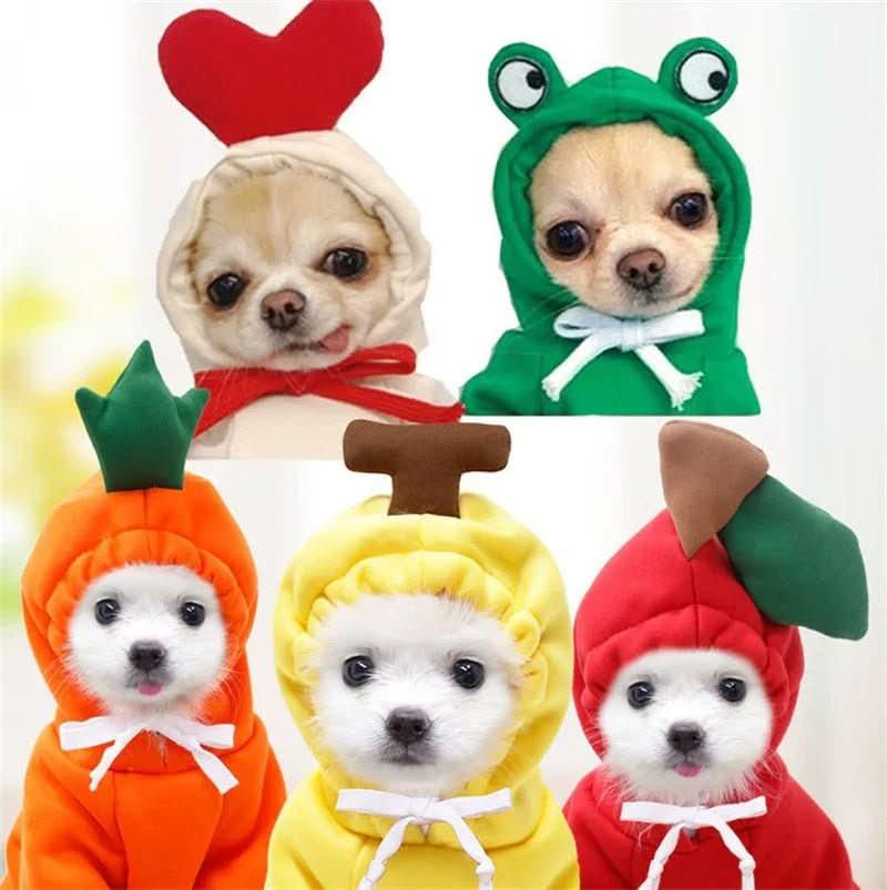 FruitPup Hoodie